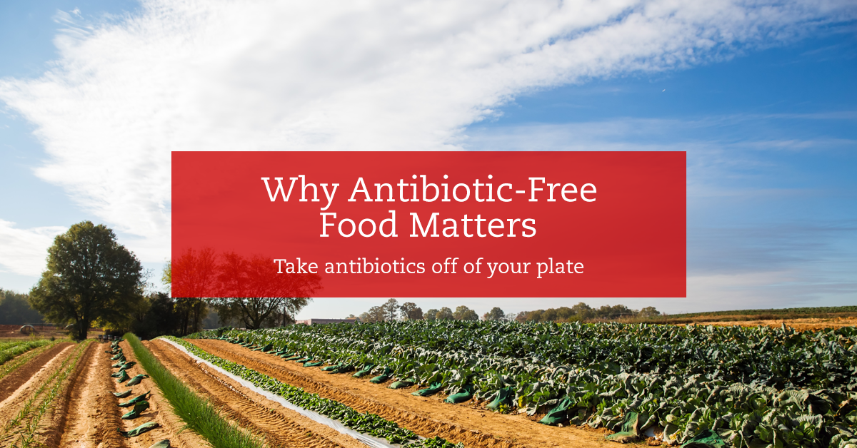 Why Antibiotic-Free Food Matters