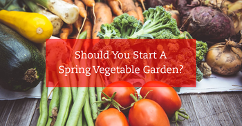 Should You Start A Spring Vegetable Garden?